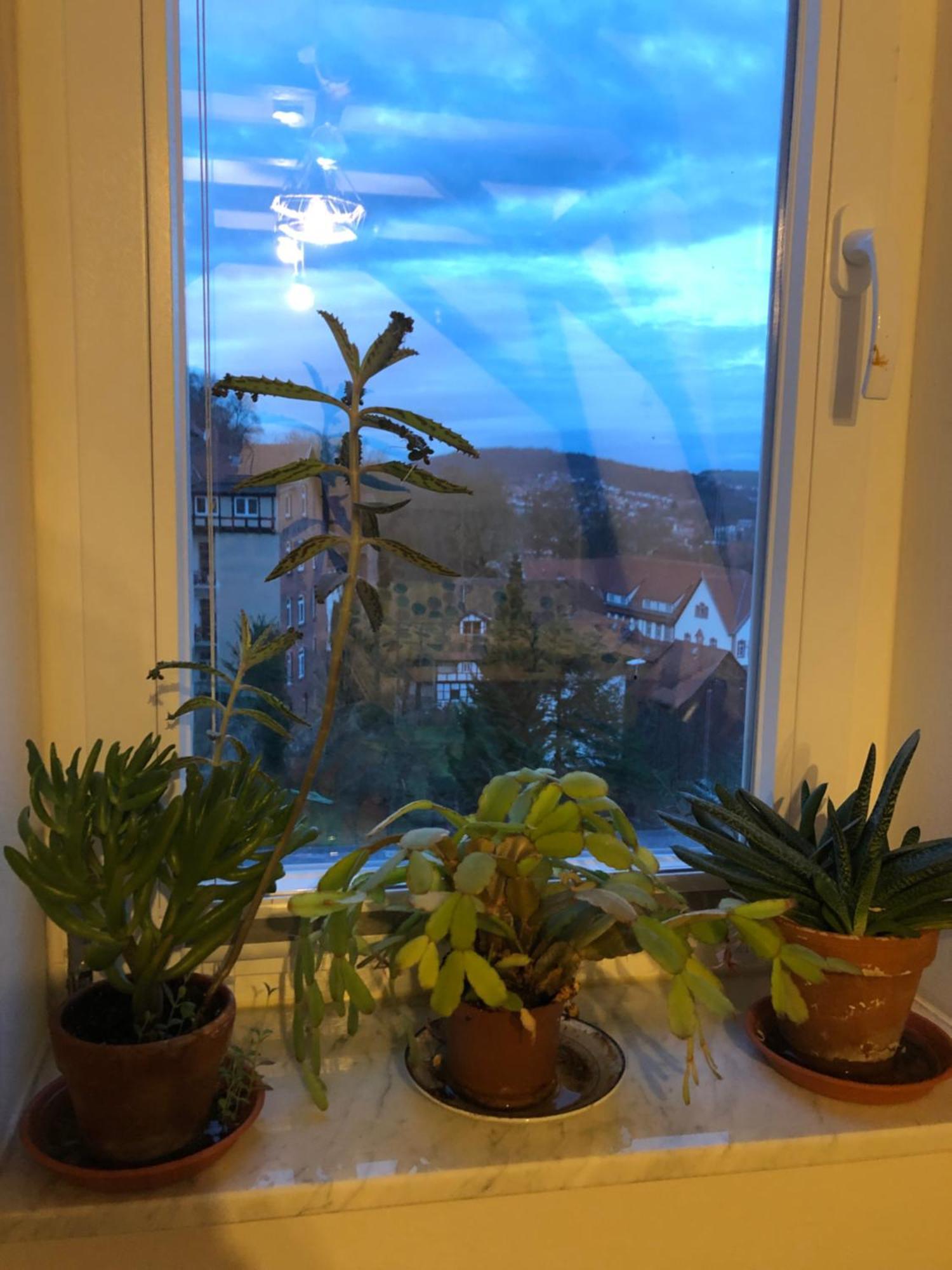 Marktresidenz Eisenach- Stilvolle Maisonette Mit 3 Zimmern Und 2 Baedern Exteriér fotografie